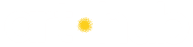 Company name